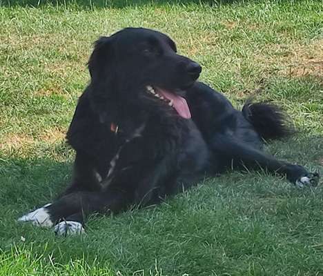 Theos Fotochallenge Nr. 3-Beitrag-Bild