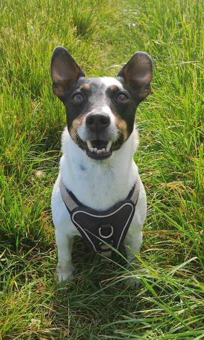 Fotochallenge Nr.122-Beitrag-Bild