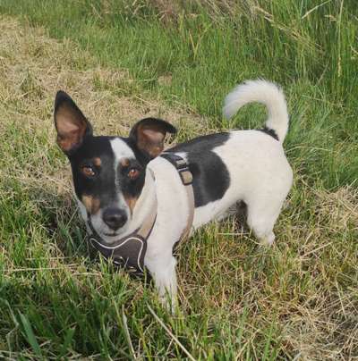 Doppelgänger gesucht !-Beitrag-Bild