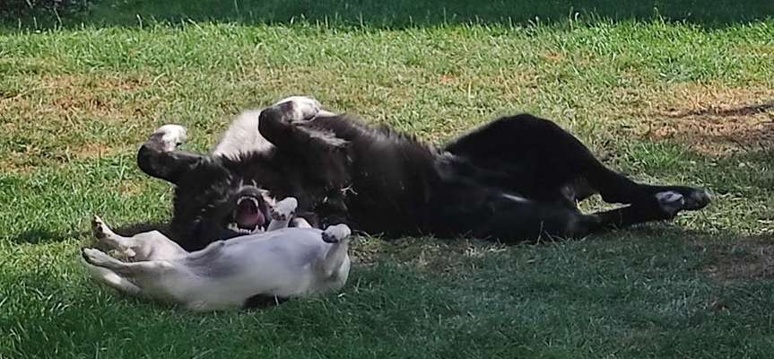 FOTO-Challenge  NR. 91: Die pure Entspannung-Beitrag-Bild