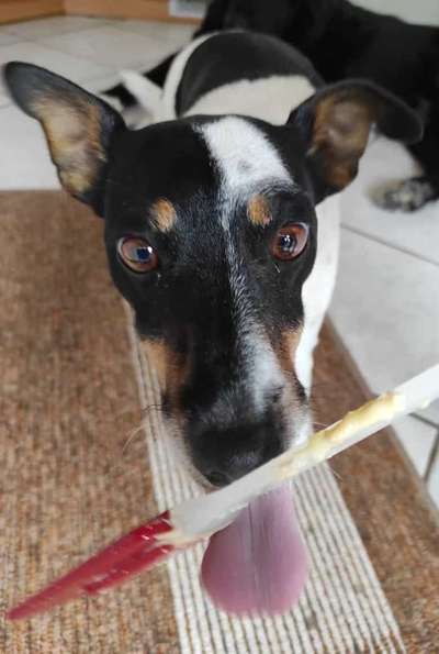 Tongue Out Tuesday-Beitrag-Bild