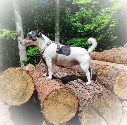 27. Handy Fotochallenge-Beitrag-Bild