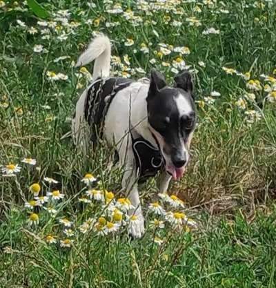 Theos Fotochallenge Nr. 3-Beitrag-Bild