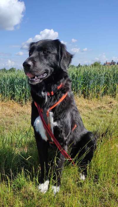 Doppelgänger gesucht !-Beitrag-Bild