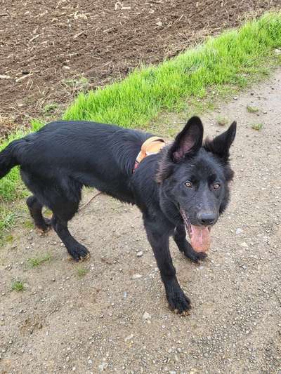 Handyfoto challenge Nr. 13: Waschlappen raus!-Beitrag-Bild