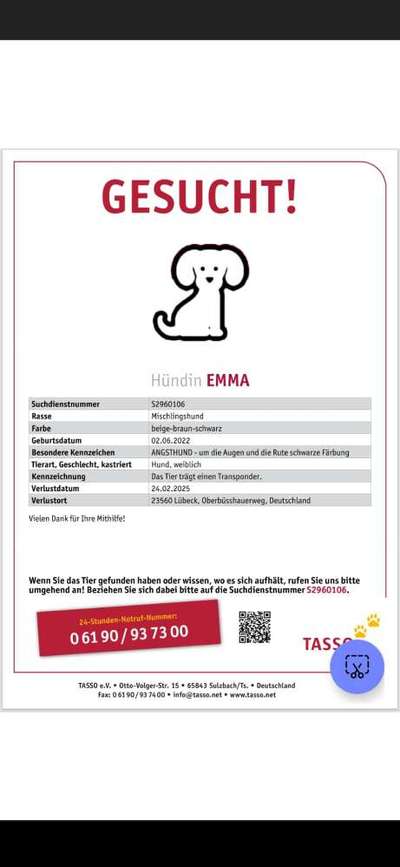 Entlaufene, Gefundene und Vermisste Hunde-Beitrag-Bild