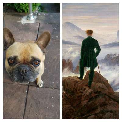 Wie heißt dein Hund?-Beitrag-Bild