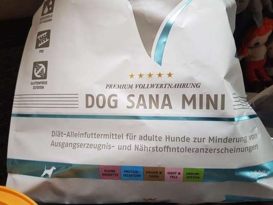 Hund hat Ausschlag-Beitrag-Bild