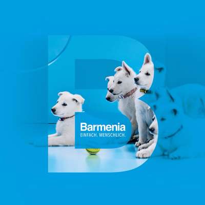 %{de_profession_title}-Hunde-OP-Versicherung vom Testsieger-Bild