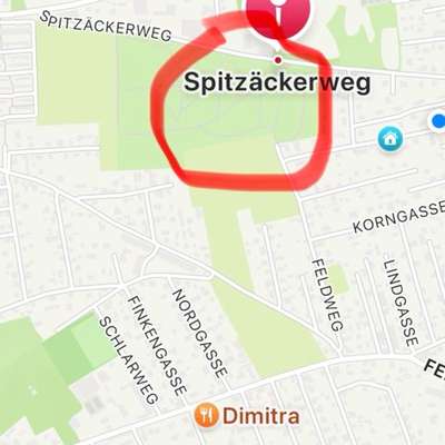 Giftköder-Giftköder (vermutlich)-Bild