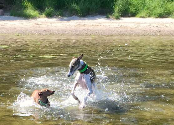 Farben Fotochallenge Sonnenlicht-Beitrag-Bild
