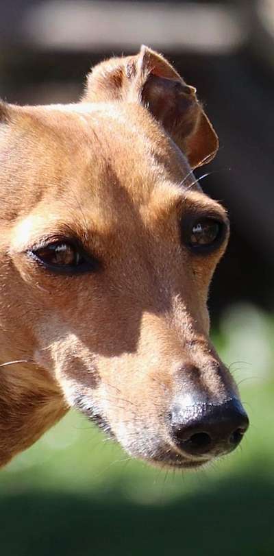 Farben Fotochallenge Sonnenlicht-Beitrag-Bild