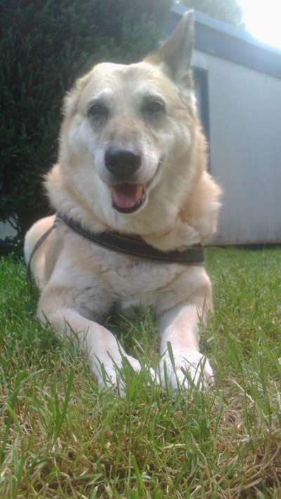 Immer lächeln !-Beitrag-Bild