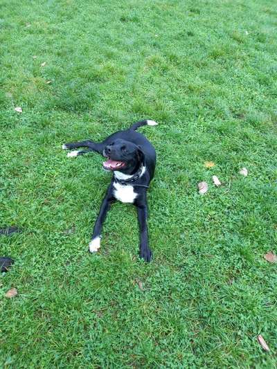 Foto-Challenge Nr. 90: Lebensfreude-Beitrag-Bild