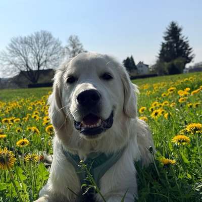 Melanie's Profilbild