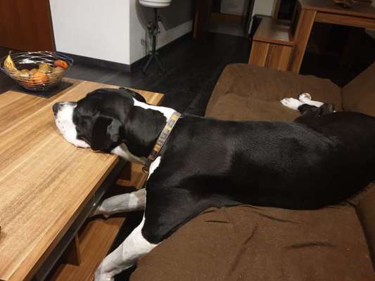 Die unbequemsten und lustigsten Schlafpositionen-Beitrag-Bild