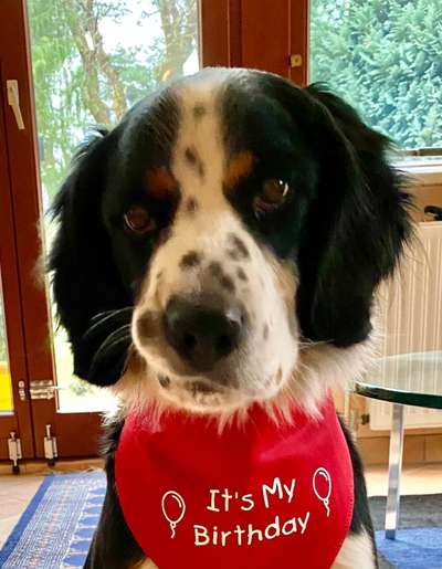 Fotochallange Nr. 57     PORTRÄT.   Beendet!!!!!!!!-Beitrag-Bild