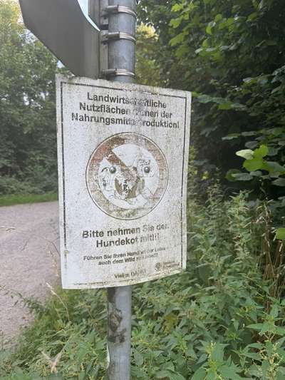 Hundeauslaufgebiet-Starzlachrunde-Bild