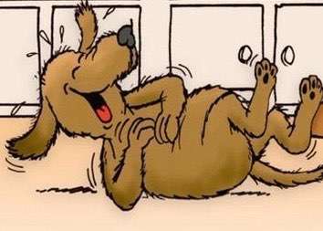 Was haltet ihr von der Ernährung mit insektenfutter?-Beitrag-Bild