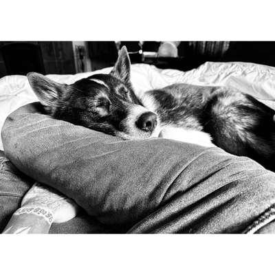 Foto Challenge Nr. 134-Beitrag-Bild