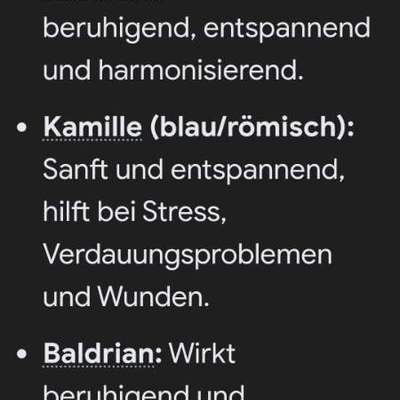 Wie handhabt ihr Duftkerzen mit Hund? Gibt es wirklich keine „pet-safe“ Marken?-Beitrag-Bild