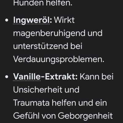 Wie handhabt ihr Duftkerzen mit Hund? Gibt es wirklich keine „pet-safe“ Marken?-Beitrag-Bild