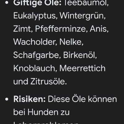 Wie handhabt ihr Duftkerzen mit Hund? Gibt es wirklich keine „pet-safe“ Marken?-Beitrag-Bild