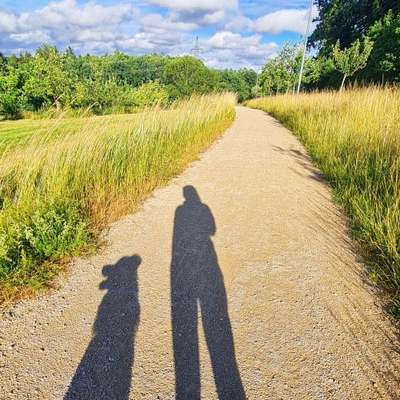 Hundetreffen-Gassi - und Spielrunde-Profilbild