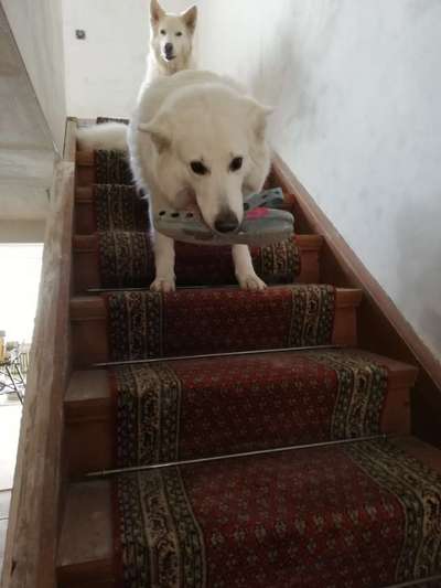 Fotochallenge Nr. 29 - Accessoires-Beitrag-Bild