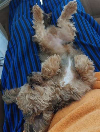 Foto Challenge - Zeigt her eure Bäuche-Beitrag-Bild