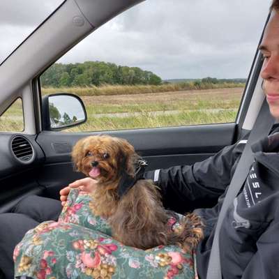 141. FOTO CHALLENGE 
Reisende soll man nicht aufhalten-Beitrag-Bild