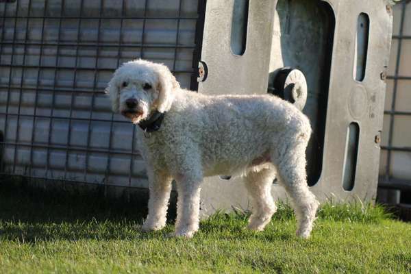 Erinnerungs Tattoos-Beitrag-Bild