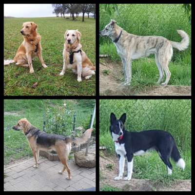 Klischeedenken einiger Menschen-Beitrag-Bild