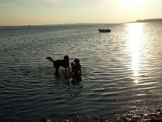 Fotochallenge 27-Beitrag-Bild