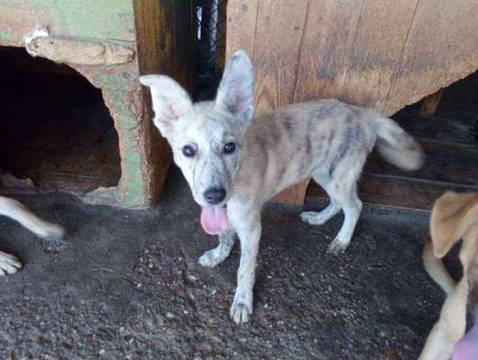 Foto Challenge 3-Beitrag-Bild