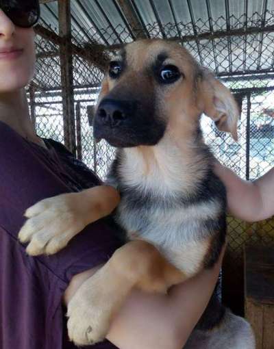 Foto Challenge 3-Beitrag-Bild