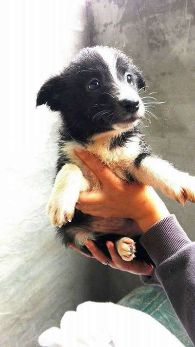 Foto Challenge 3-Beitrag-Bild