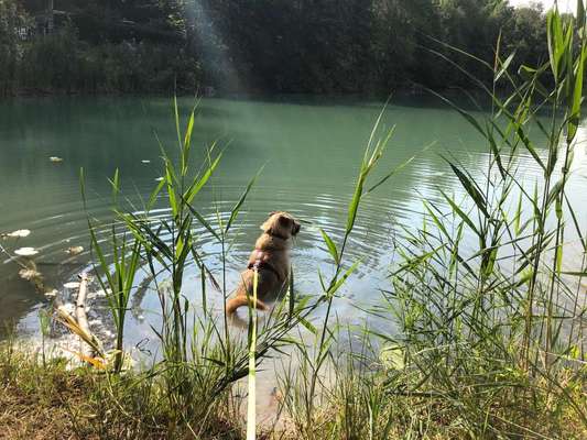 Foto Challenge - BEENDET - bitte aktuelle Challenge nutzen-Beitrag-Bild