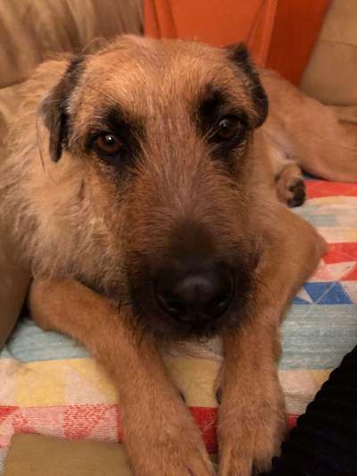 Lustige Bilder-Beitrag-Bild