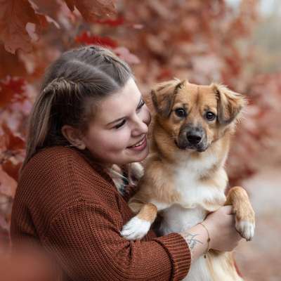 Hundetreffen-Hunde-Treffen 🥰