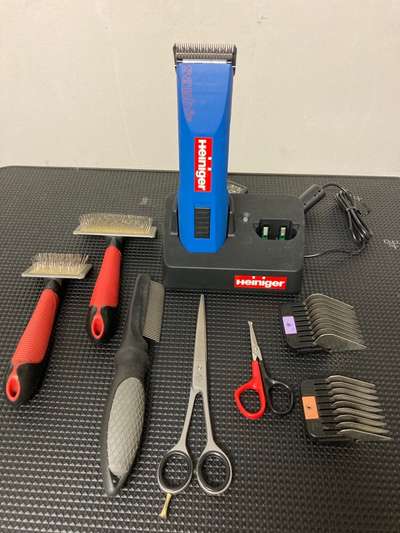 Charakter Pudel-Beitrag-Bild