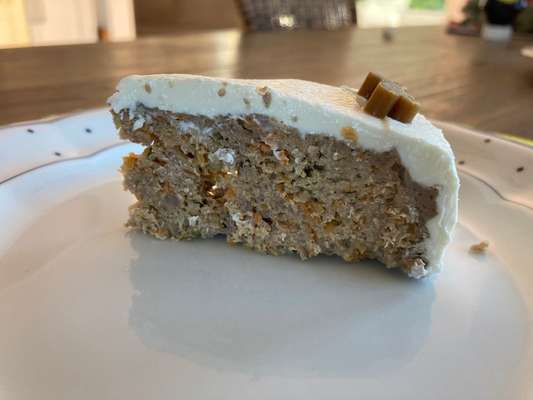 Alles rund um den Pudel-Beitrag-Bild