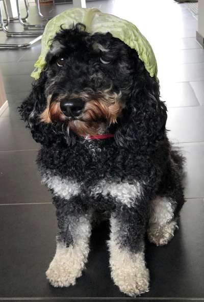 Fotochallenge No. 5-Beitrag-Bild