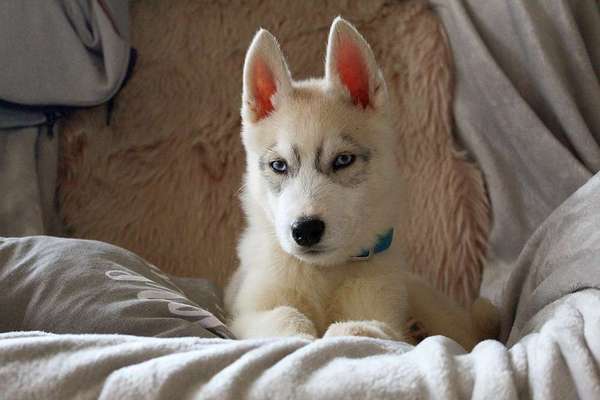 Erstes Bild-Beitrag-Bild