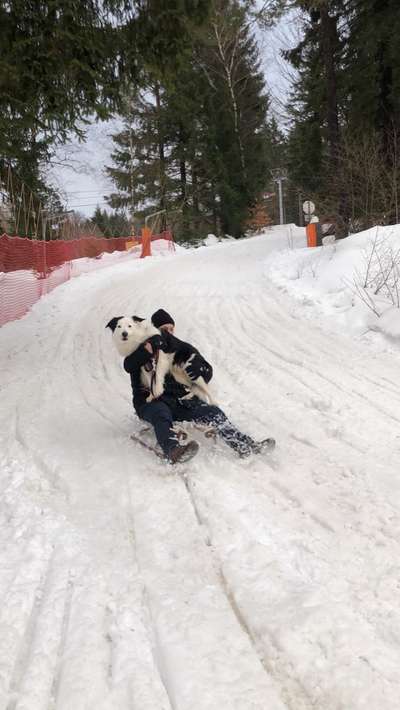 Dogorama Photo Challenge - Es wird nochmal kalt!-Beitrag-Bild