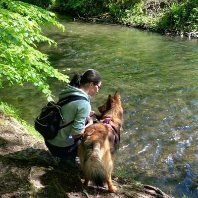 Hundetreffen-Social Walk Gruppe