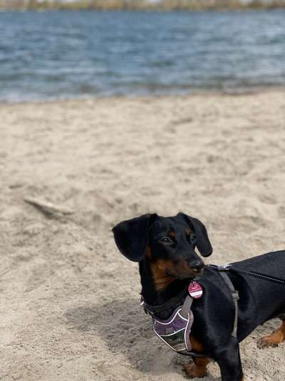 Eure Strandbilder :)-Beitrag-Bild