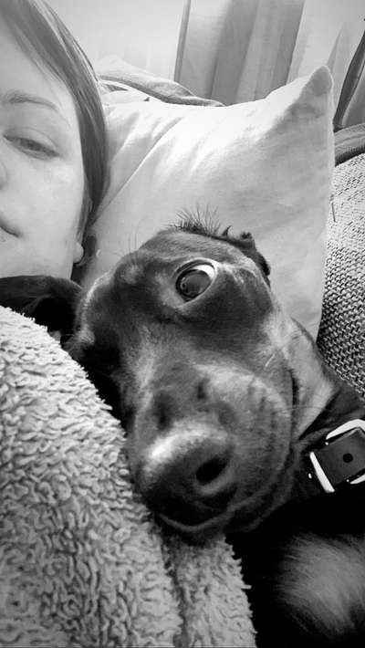 Lustige Bilder-Beitrag-Bild