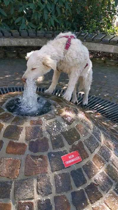 Fotochallenge 27-Beitrag-Bild