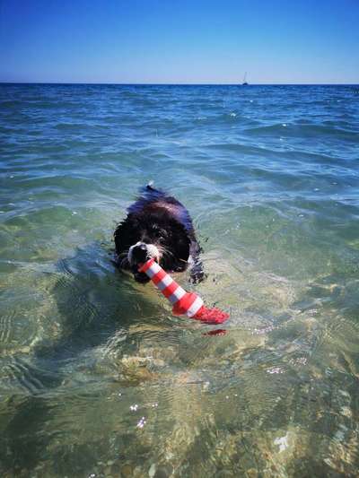 Fotochallenge 27-Beitrag-Bild